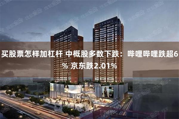买股票怎样加杠杆 中概股多数下跌：哔哩哔哩跌超6% 京东跌2.01%