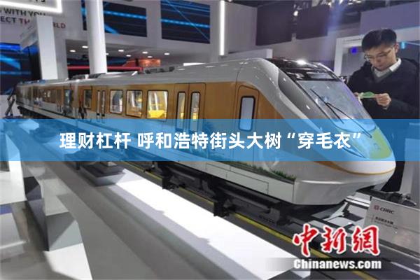 理财杠杆 呼和浩特街头大树“穿毛衣”