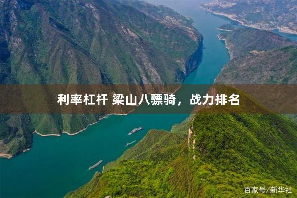 利率杠杆 梁山八骠骑，战力排名