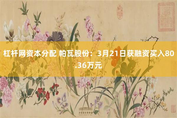 杠杆网资本分配 帕瓦股份：3月21日获融资买入80.36万元