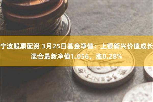 宁波股票配资 3月25日基金净值：上银新兴价值成长混合最新净值1.056，涨0.28%