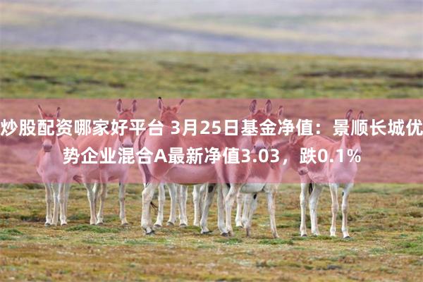 炒股配资哪家好平台 3月25日基金净值：景顺长城优势企业混合A最新净值3.03，跌0.1%