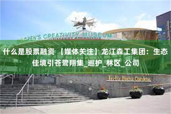什么是股票融资 【媒体关注】龙江森工集团：生态佳境引苍鹭翔集_巡护_林区_公司