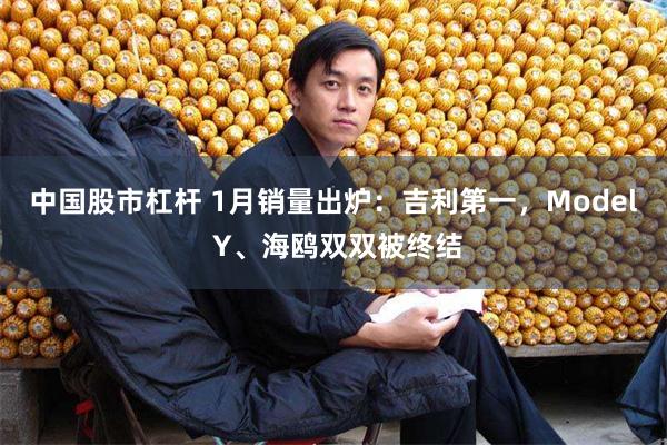 中国股市杠杆 1月销量出炉：吉利第一，Model Y、海鸥双双被终结