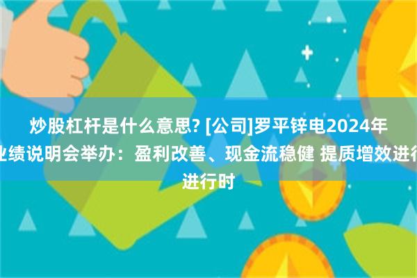 炒股杠杆是什么意思? [公司]罗平锌电2024年度业绩说明会举办：盈利改善、现金流稳健 提质增效进行时