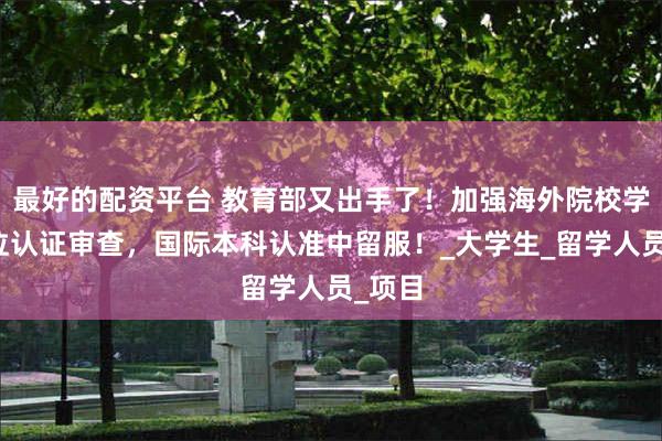 最好的配资平台 教育部又出手了！加强海外院校学历学位认证审查，国际本科认准中留服！_大学生_留学人员_项目