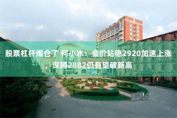 股票杠杆爆仓了 何小冰：金价站稳2920加速上涨，深蹲2882仍有望破新高