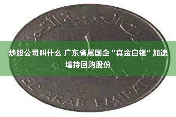 炒股公司叫什么 广东省属国企“真金白银”加速增持回购股份