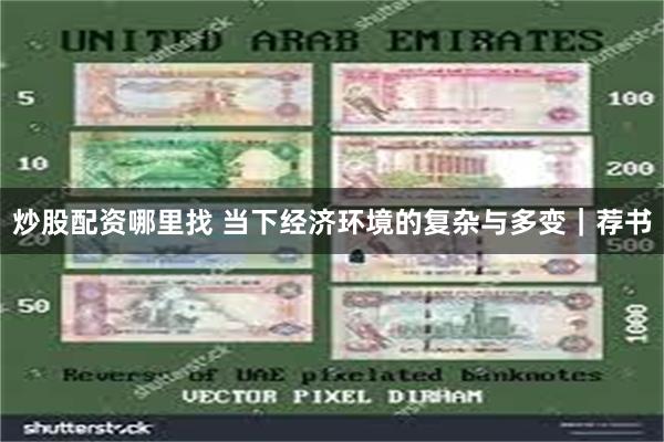 炒股配资哪里找 当下经济环境的复杂与多变｜荐书