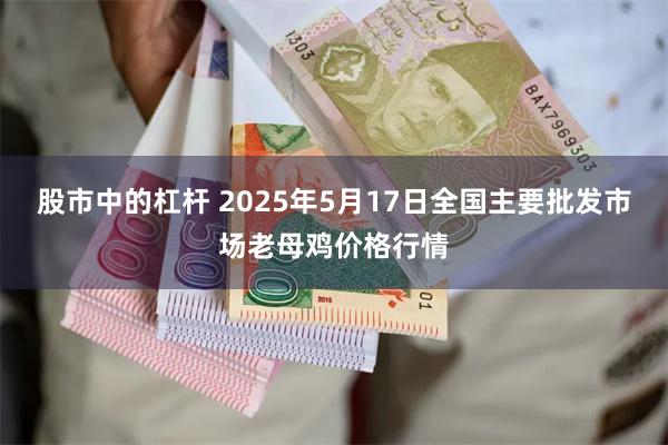 股市中的杠杆 2025年5月17日全国主要批发市场老母鸡价格行情