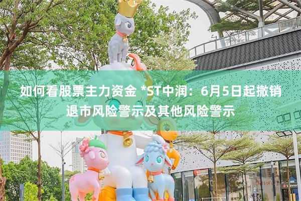 如何看股票主力资金 *ST中润：6月5日起撤销退市风险警示及其他风险警示