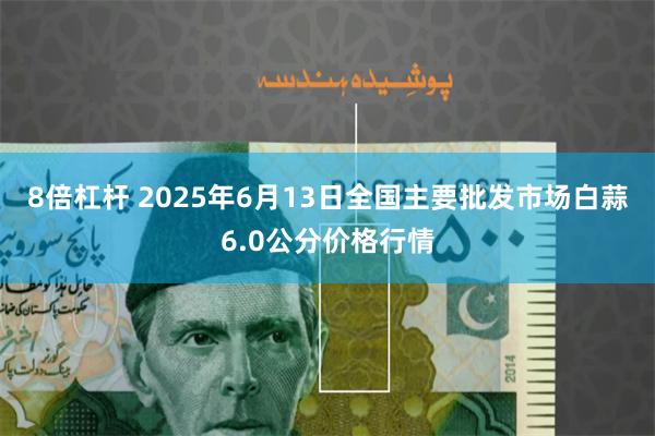 8倍杠杆 2025年6月13日全国主要批发市场白蒜6.0公分价格行情