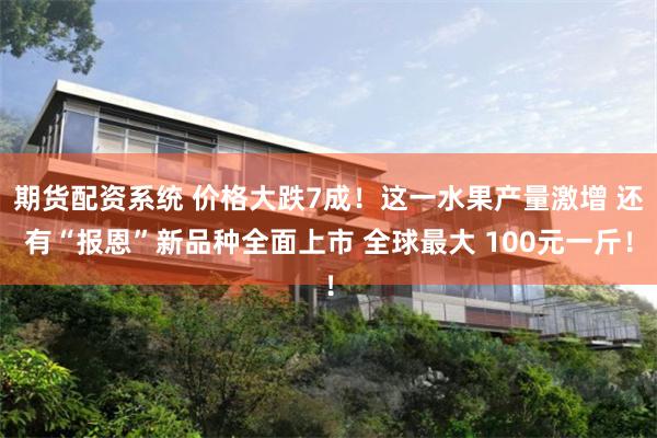 期货配资系统 价格大跌7成！这一水果产量激增 还有“报恩”新品种全面上市 全球最大 100元一斤！