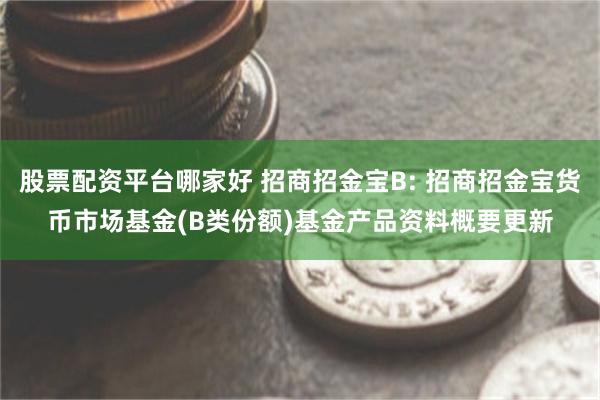 股票配资平台哪家好 招商招金宝B: 招商招金宝货币市场基金(B类份额)基金产品资料概要更新