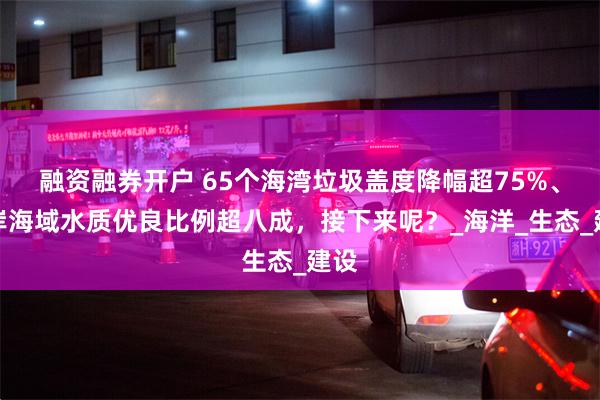 融资融券开户 65个海湾垃圾盖度降幅超75%、近岸海域水质优良比例超八成，接下来呢？_海洋_生态_建设