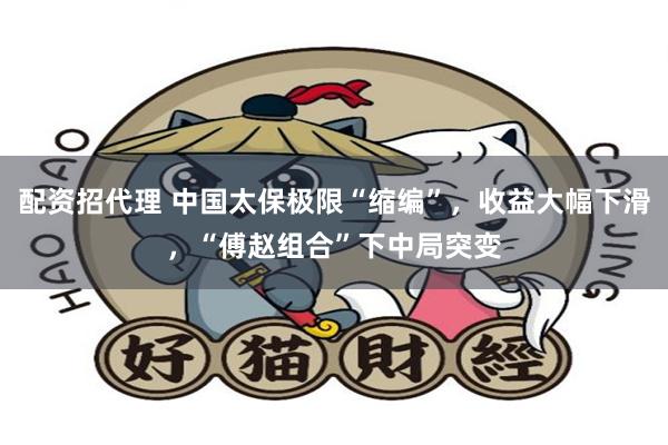 配资招代理 中国太保极限“缩编”，收益大幅下滑，“傅赵组合”下中局突变