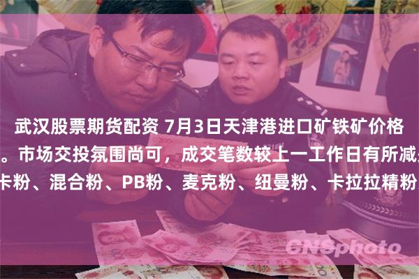 武汉股票期货配资 7月3日天津港进口矿铁矿价格全天价格累计上涨8-10。市场交投氛围尚可，成交笔数较上一工作日有所减少。成交主要以：卡粉、混合粉、PB粉、麦克粉、纽曼粉、卡拉拉精粉为主。现PB粉740涨10，混合粉675涨10，卡粉830涨10。（对比前一工作日晚间价格；单位：元/湿吨）