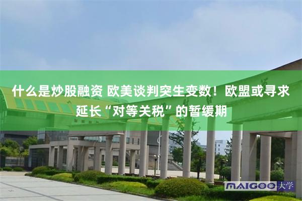 什么是炒股融资 欧美谈判突生变数！欧盟或寻求延长“对等关税”的暂缓期