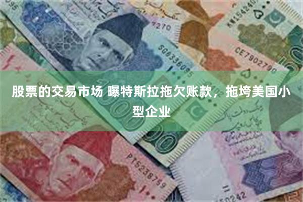 股票的交易市场 曝特斯拉拖欠账款，拖垮美国小型企业